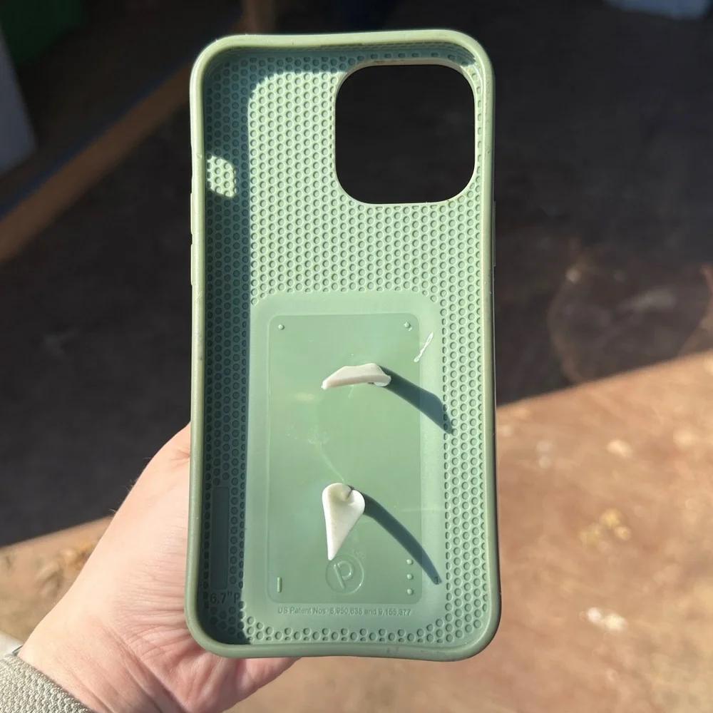 Loopy Case reposhing this